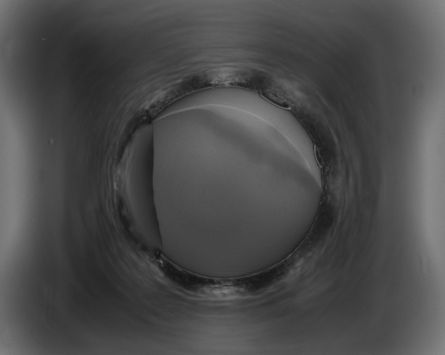 X0000086760219200705041454