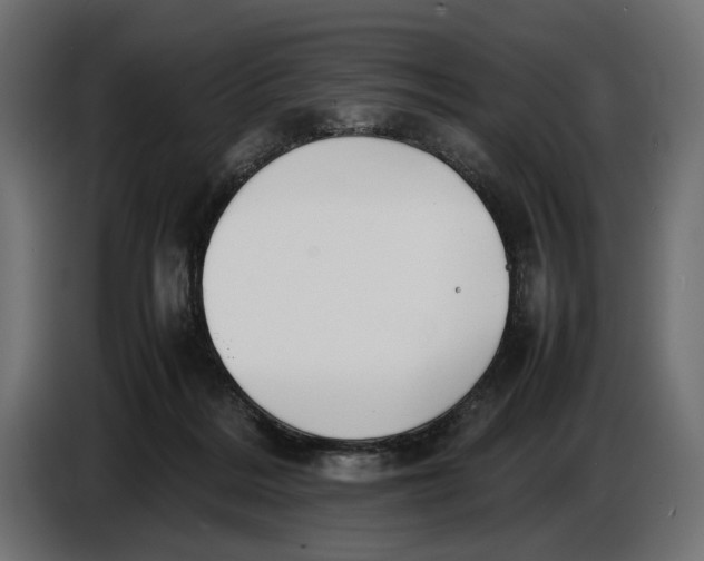 X0000086760220200705041454