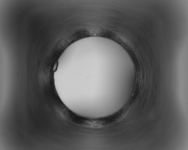 X0000086760221200705041454