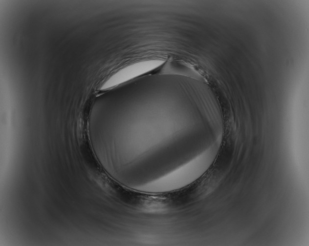 X0000086760222200705041454