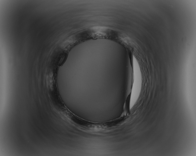 X0000086760223200705041454