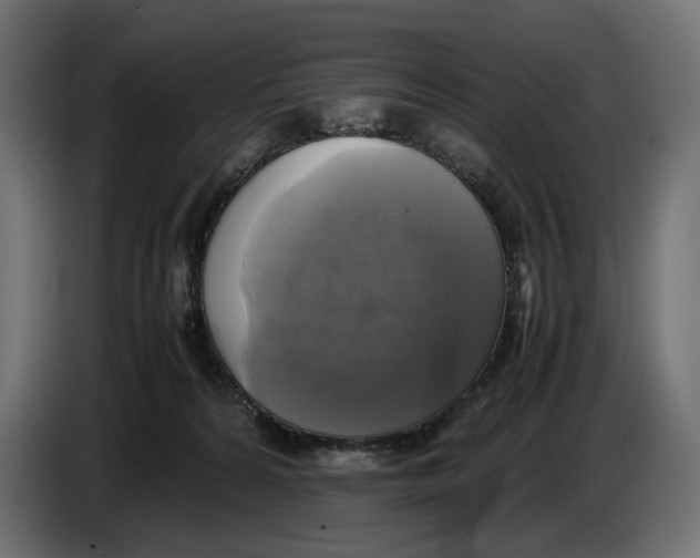 X0000086760224200705041454