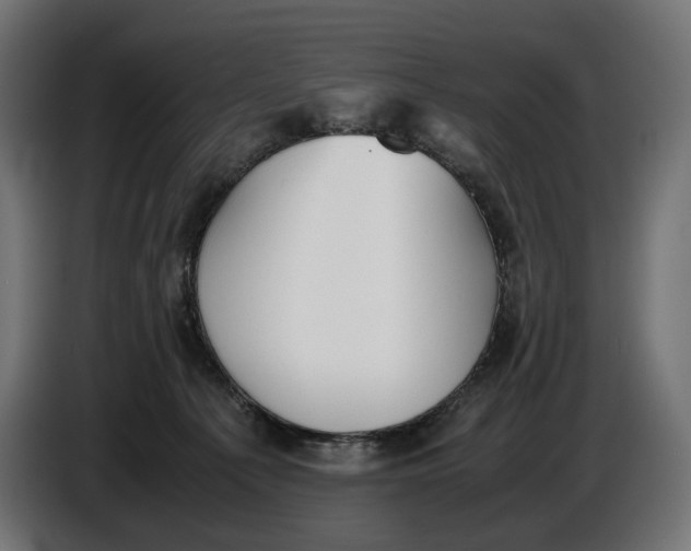 X0000086760225200705041454