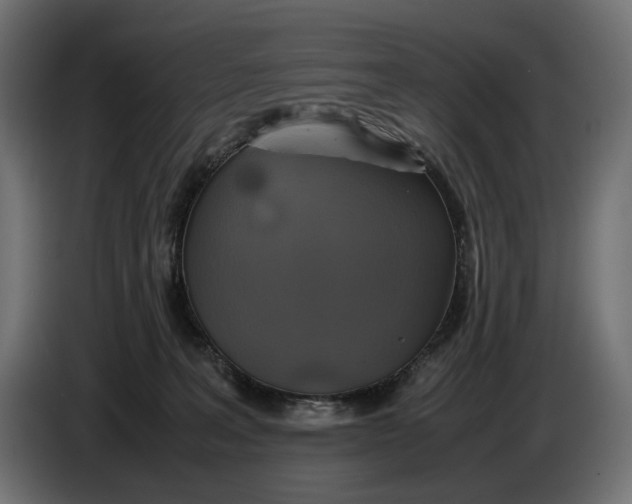 X0000086760227200705041454