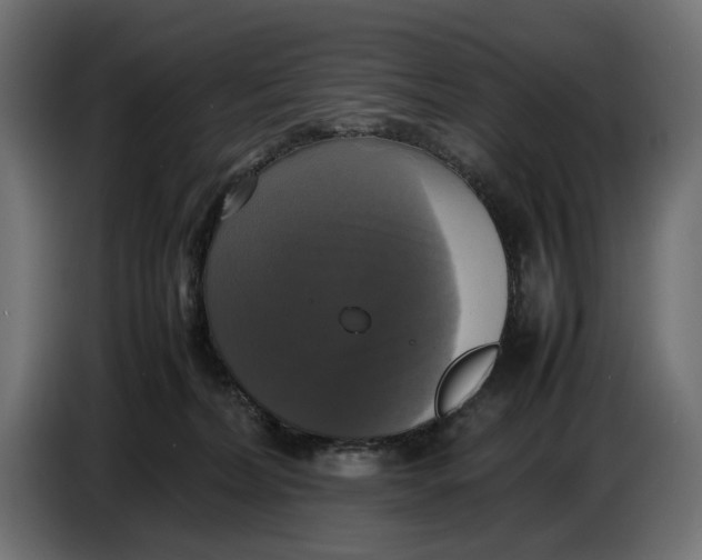 X0000086760228200705041454