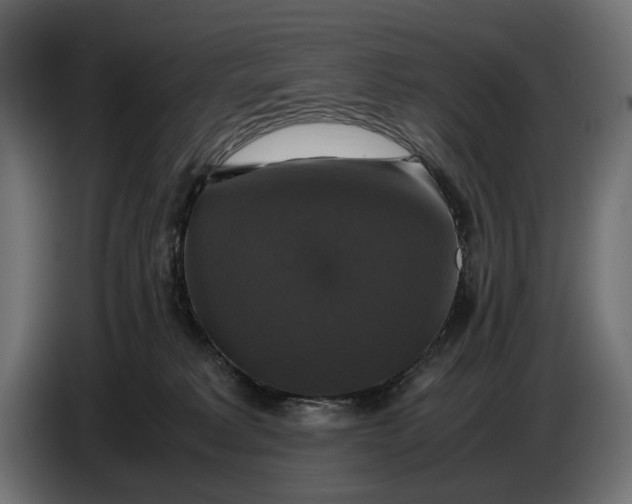 X0000086760229200705041454