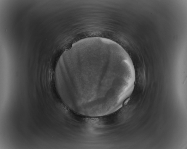 X0000086760230200705041454