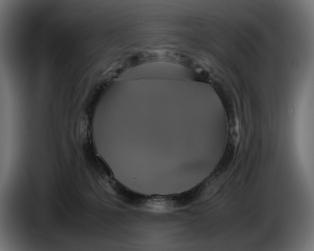 X0000086760231200705041454