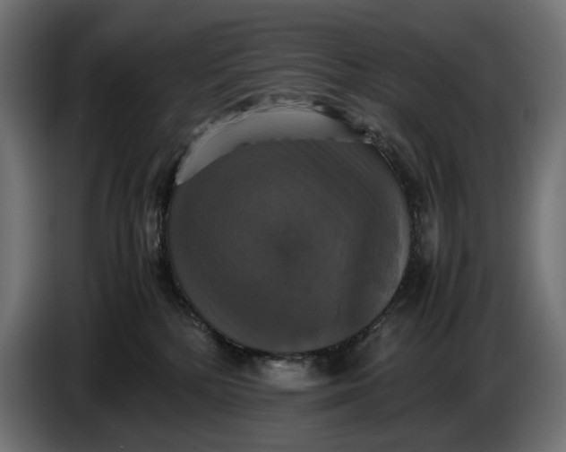 X0000086760232200705041454