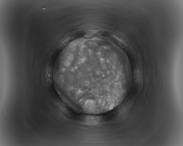 X0000086760234200705041454