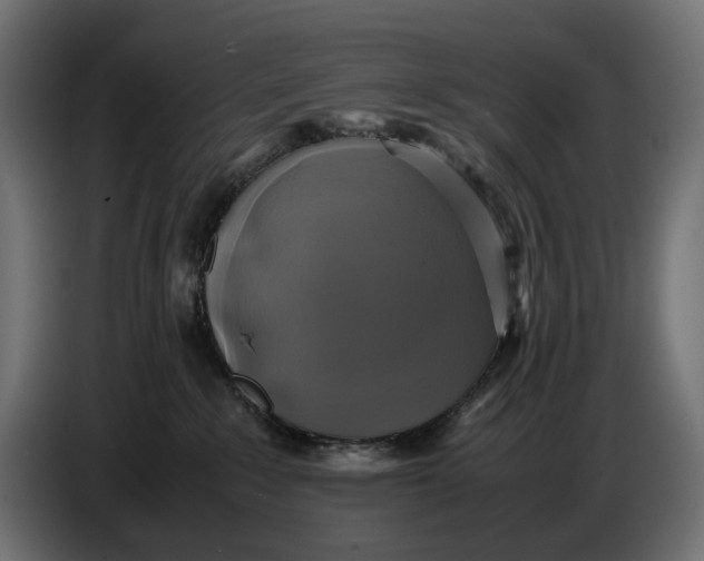 X0000086760235200705041454