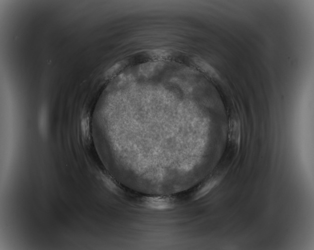 X0000086760238200705041454