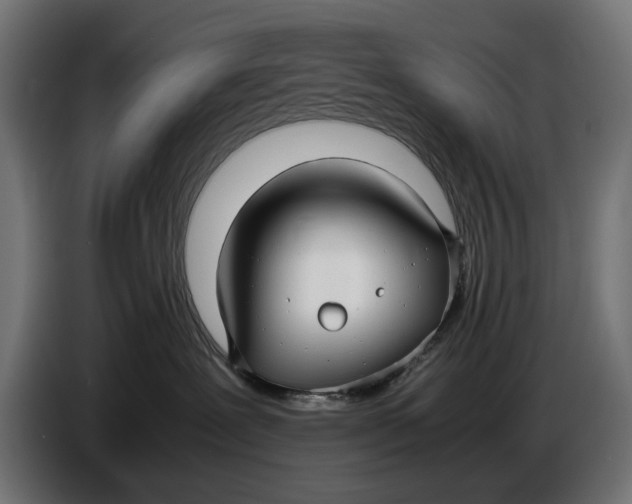 X0000086760239200705041454