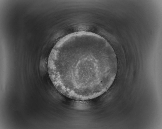 X0000086760240200705041454