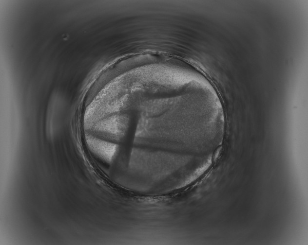 X0000086760241200705041453