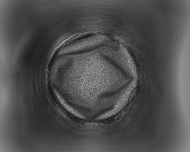 X0000086760242200705041453