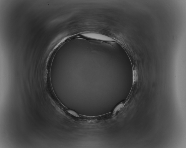 X0000086760243200705041453