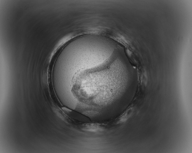 X0000086760244200705041454