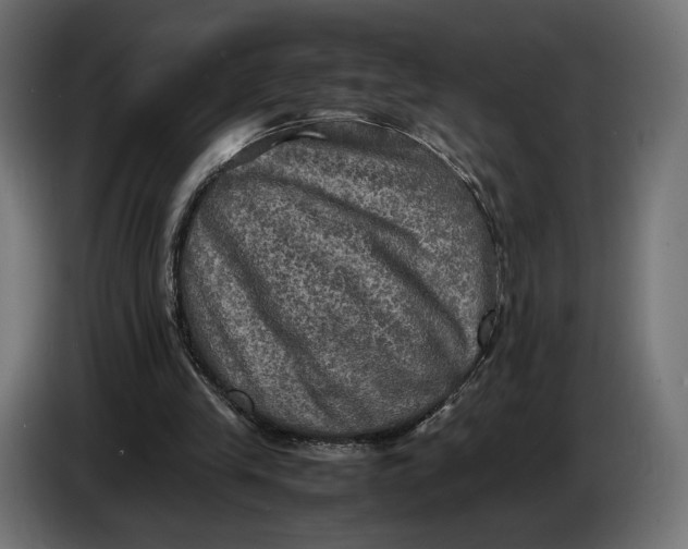 X0000086760245200705041454