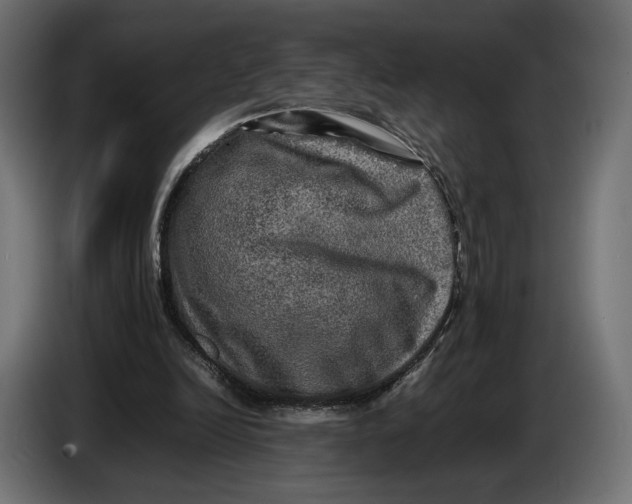 X0000086760246200705041454