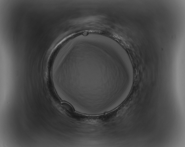 X0000086760247200705041454