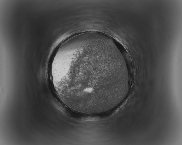 X0000086760248200705041454