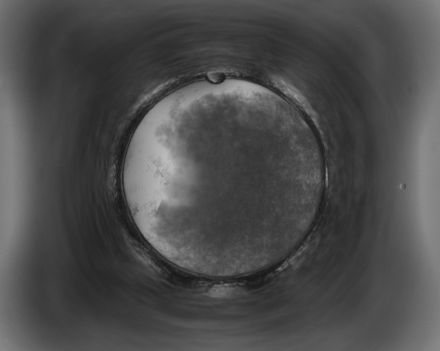 X0000086760249200705041454