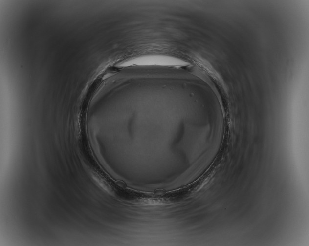 X0000086760250200705041454