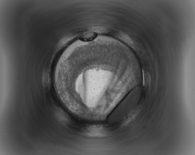 X0000086760252200705041454