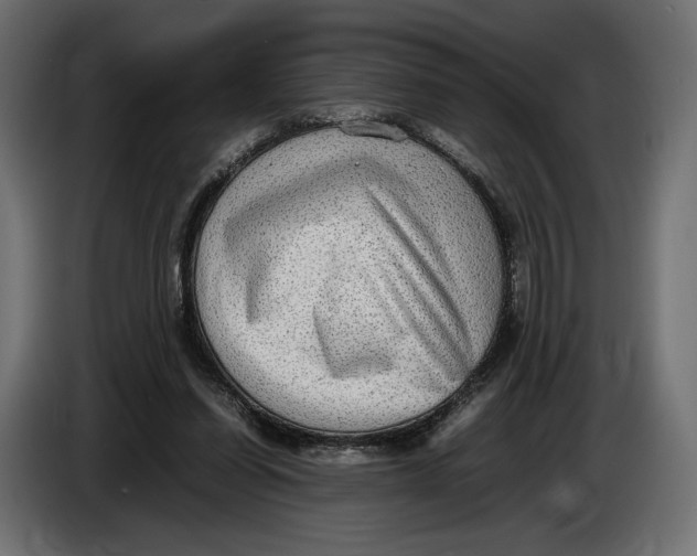 X0000086760254200705041454