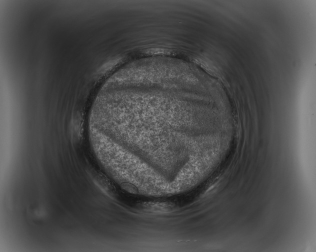 X0000086760255200705041454