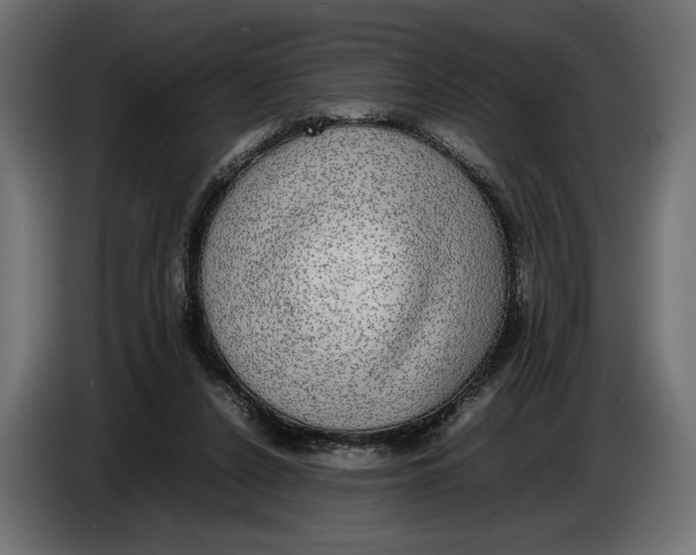 X0000086760256200705041454