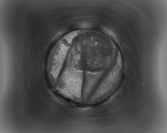 X0000086760257200705041454