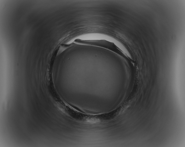 X0000086760258200705041454