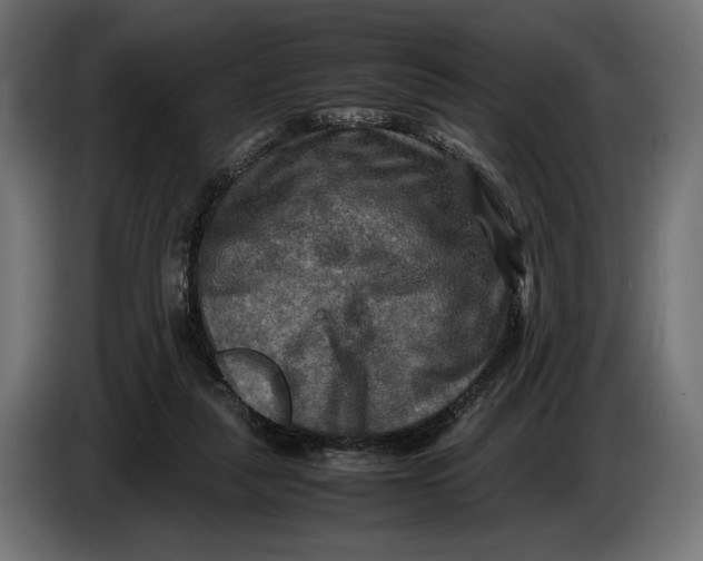 X0000086760259200705041454