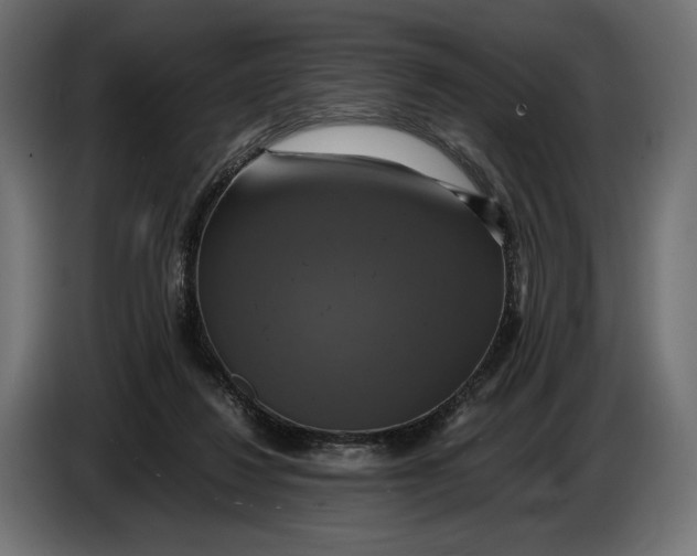 X0000086760260200705041454