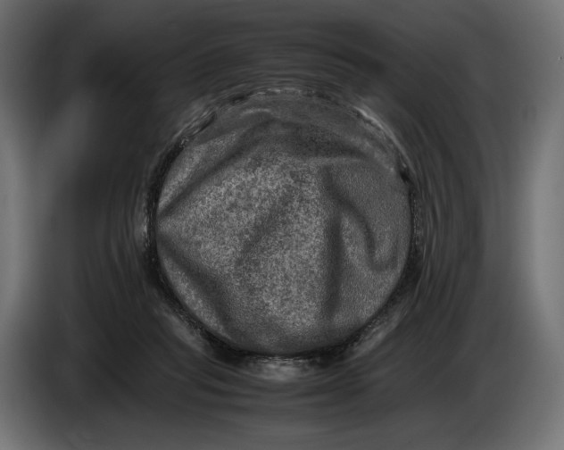 X0000086760261200705041454