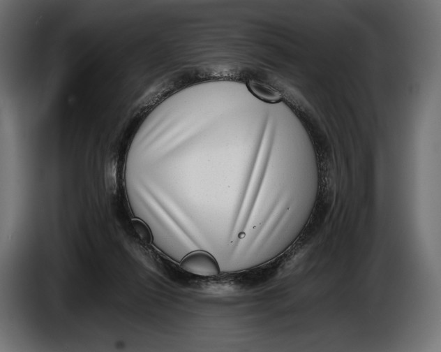 X0000086760262200705041454