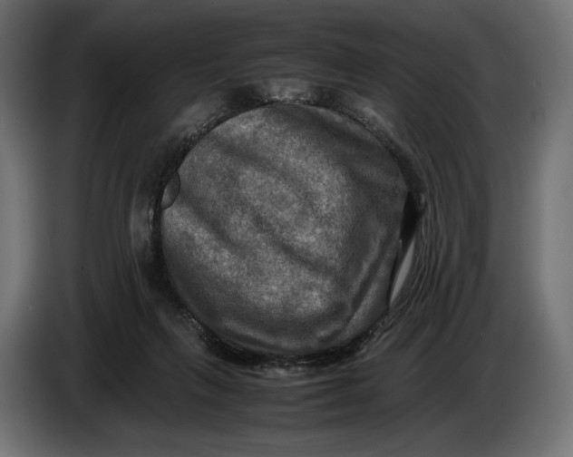 X0000086760263200705041454