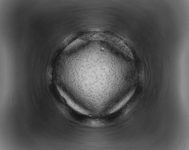 X0000086760264200705041454