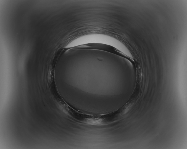 X0000086760266200705041454