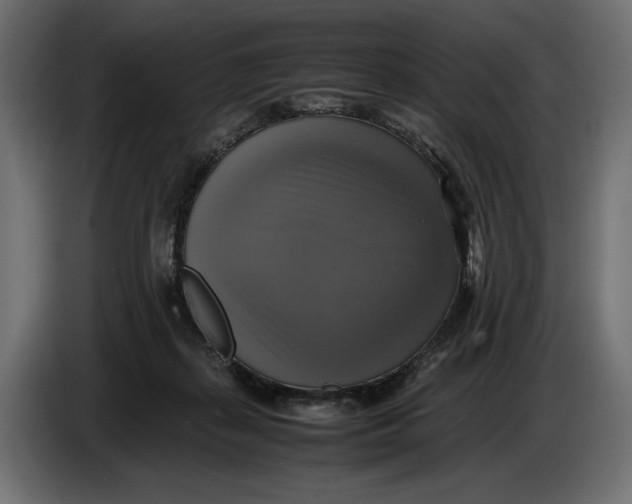 X0000086760267200705041454