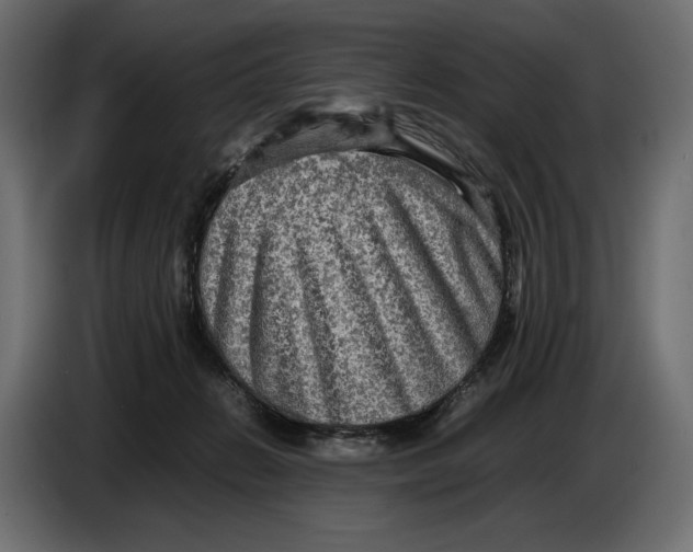 X0000086760270200705041454