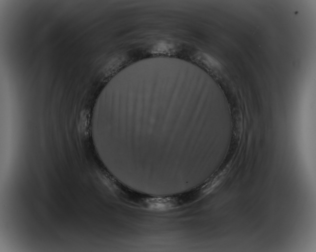 X0000086760273200705041454