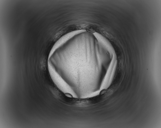 X0000086760274200705041454