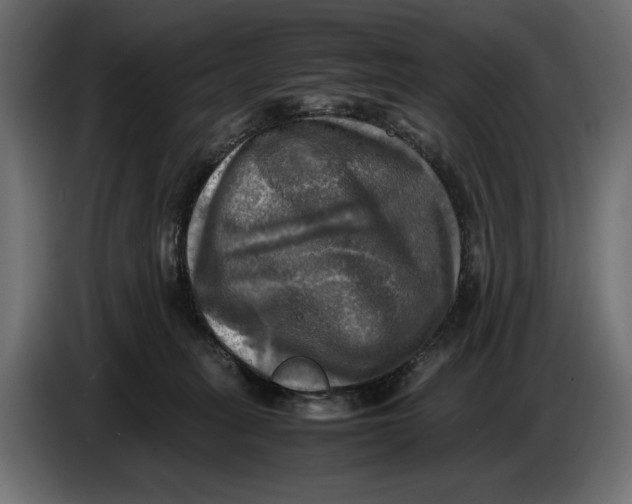 X0000086760275200705041454