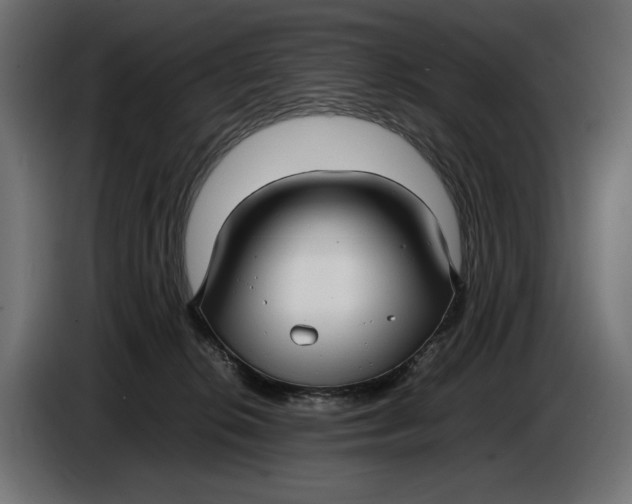 X0000086760276200705041454