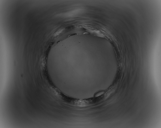 X0000086760277200705041454