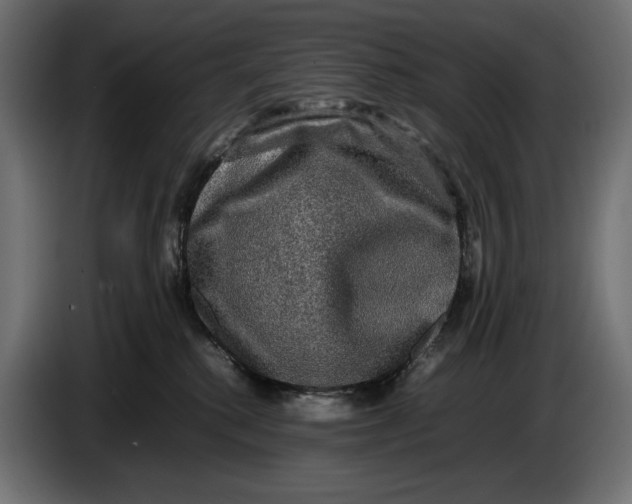 X0000086760280200705041454