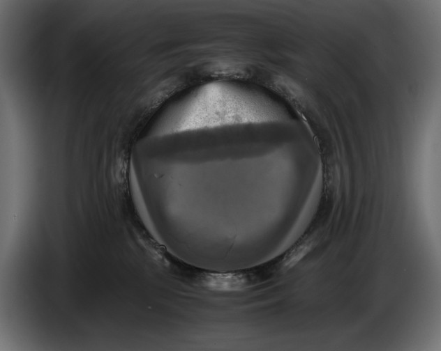 X0000086760281200705041454